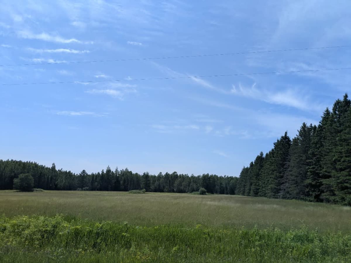 Long Lake Road photo 4