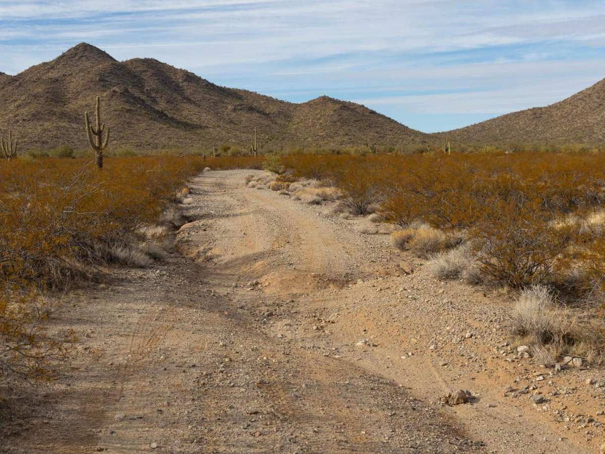 Creosotes Revenge photo 5