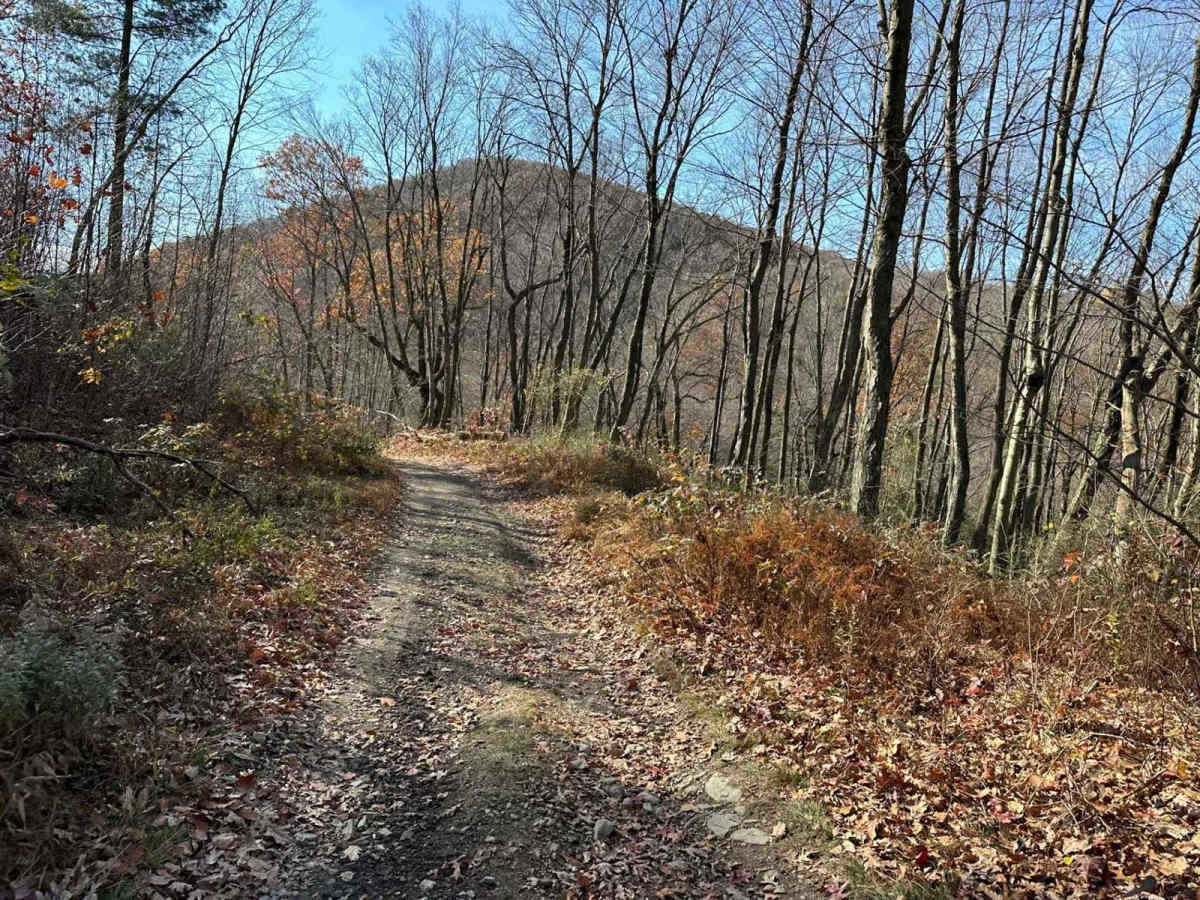 Ashland 155 trail photo