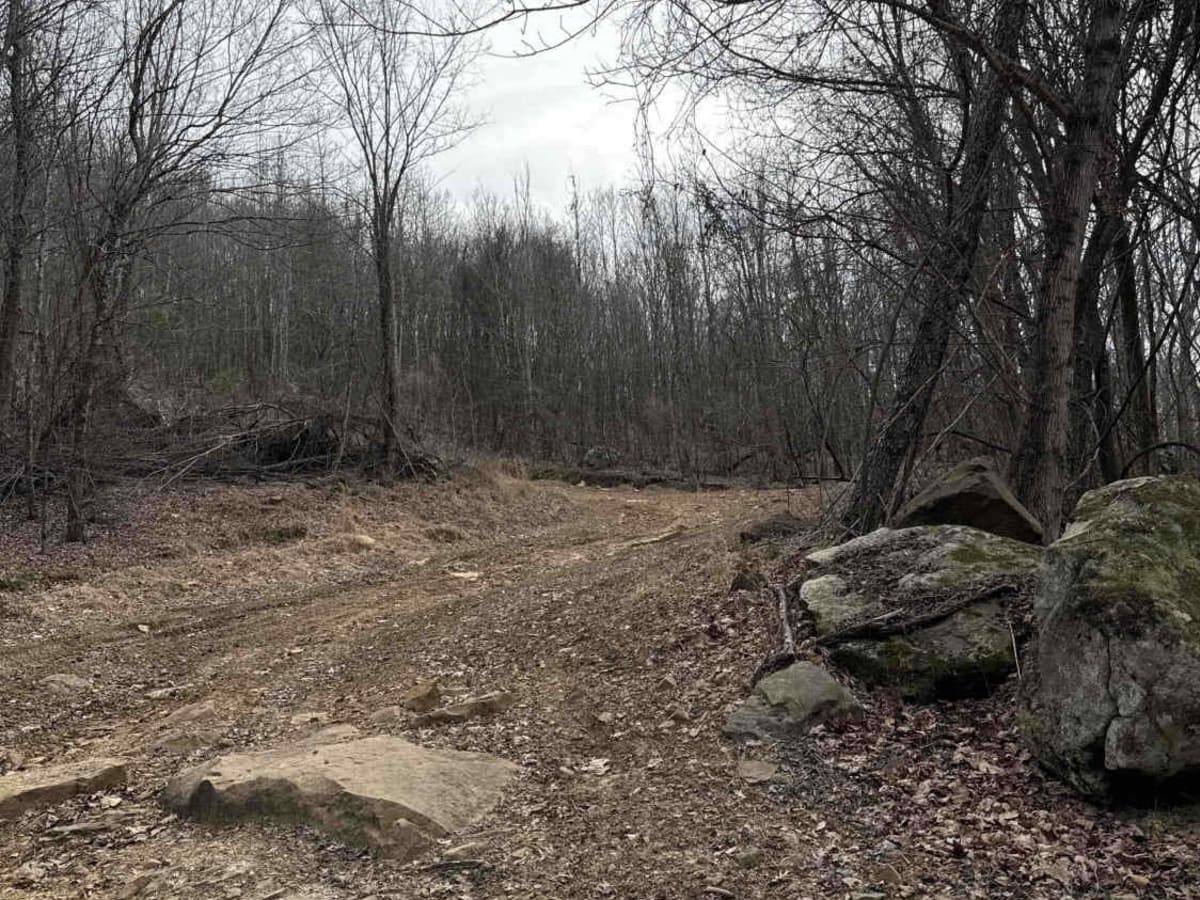 #89 Gobbler's Ridge photo 3