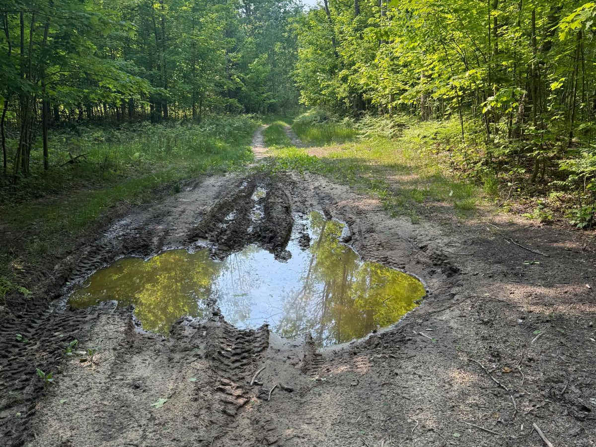 Trail 38 photo 6
