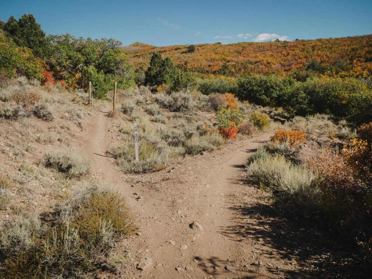 South Porcupine Trail photo 3