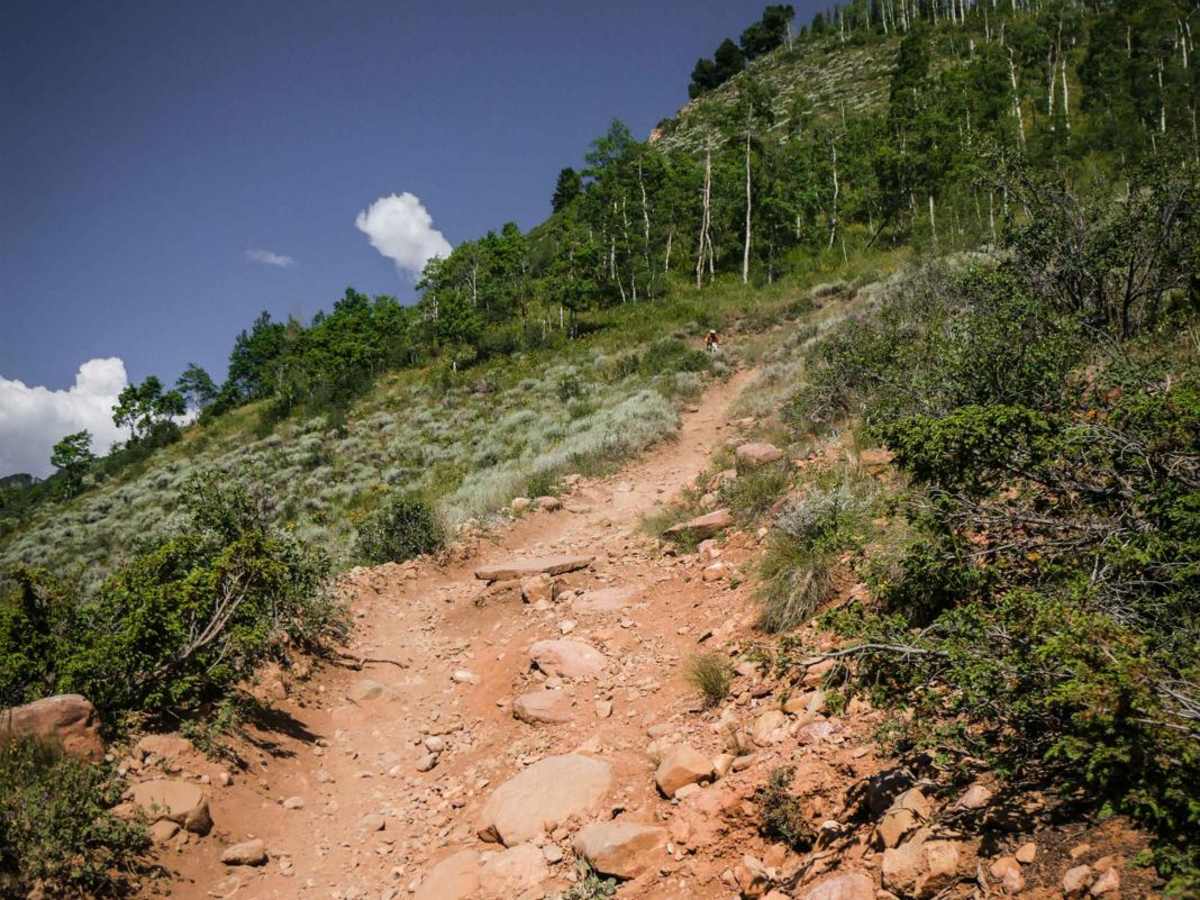 Walrod Gulch Trail trail photo