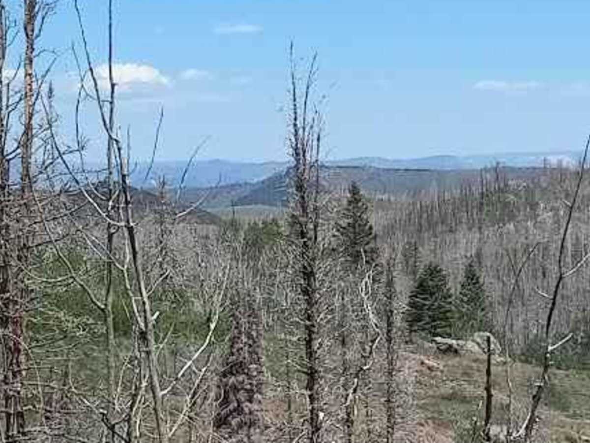 Caddy Creek/Little Valley photo 4