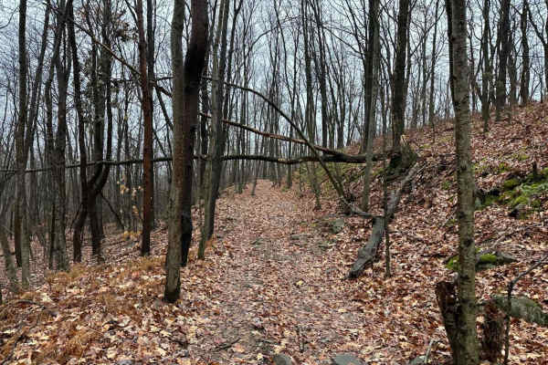ATV Trail 13