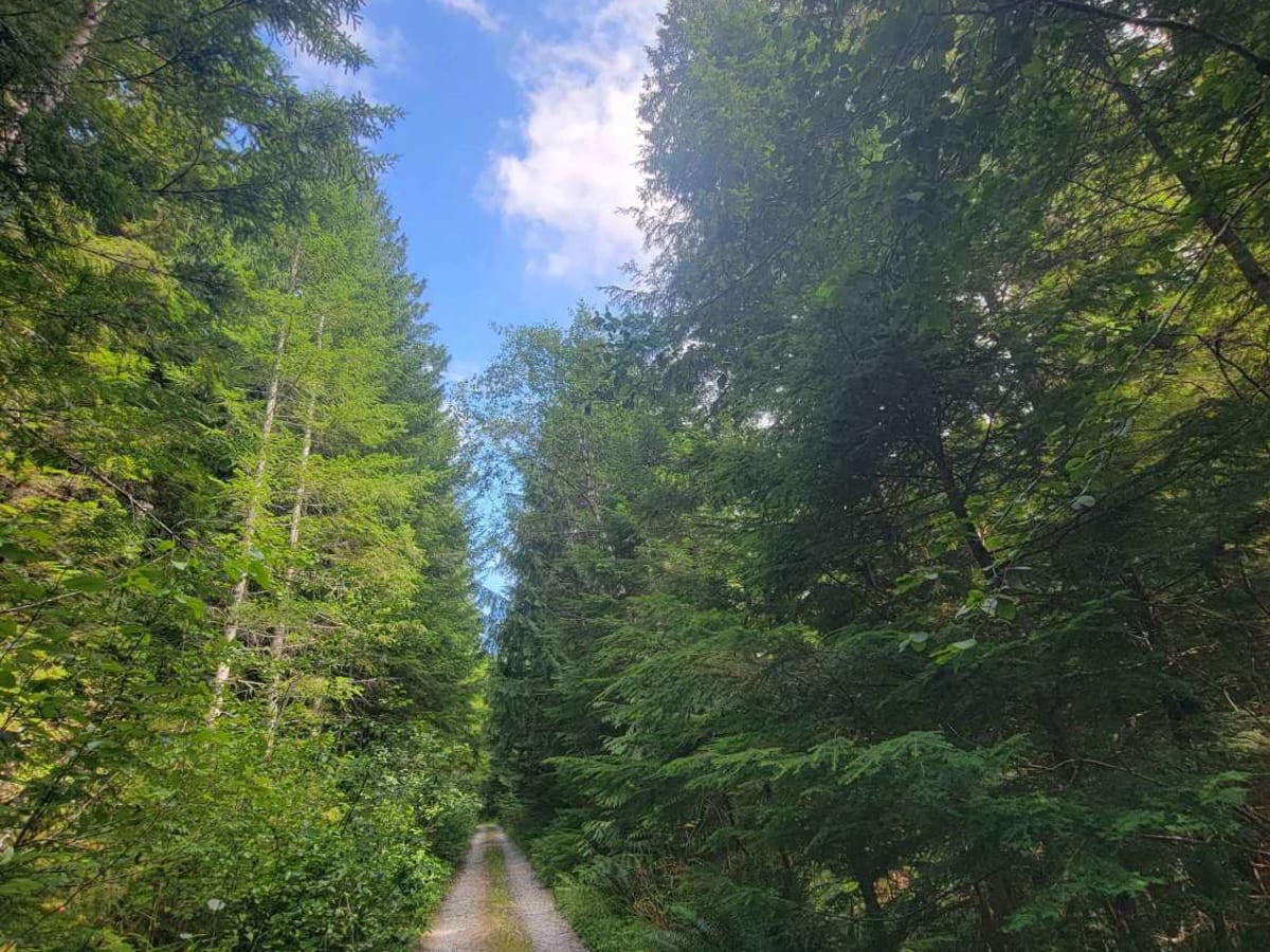 Berry Falls photo 2