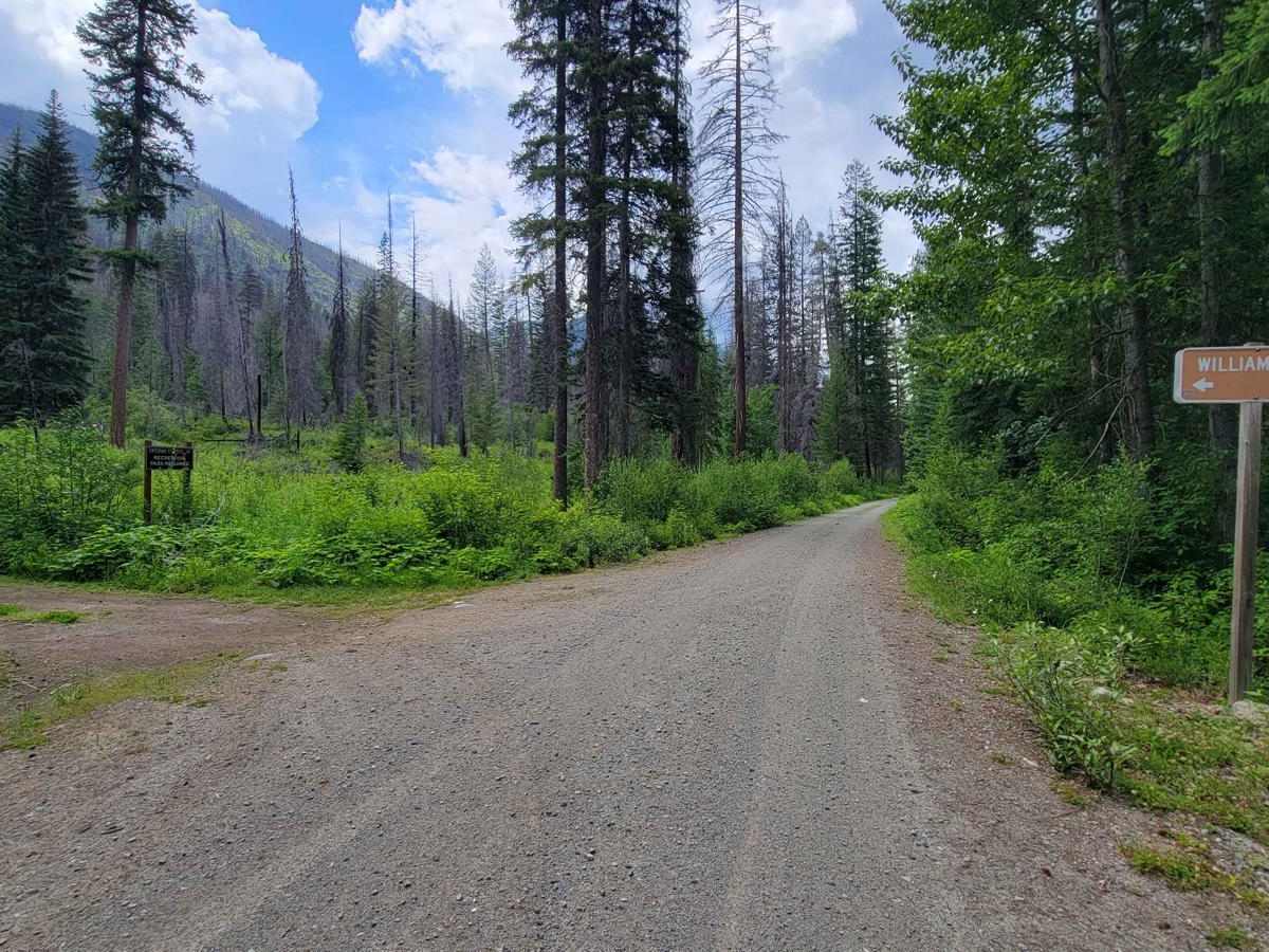 FR 4430 - War Creek/West Twisp River photo 6