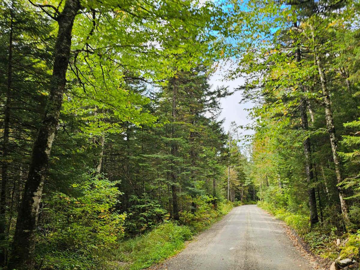 Jefferson Notch Road photo 4