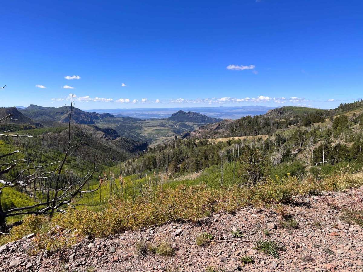 Mount Dutton - Cottonwood (30125/30353) trail photo