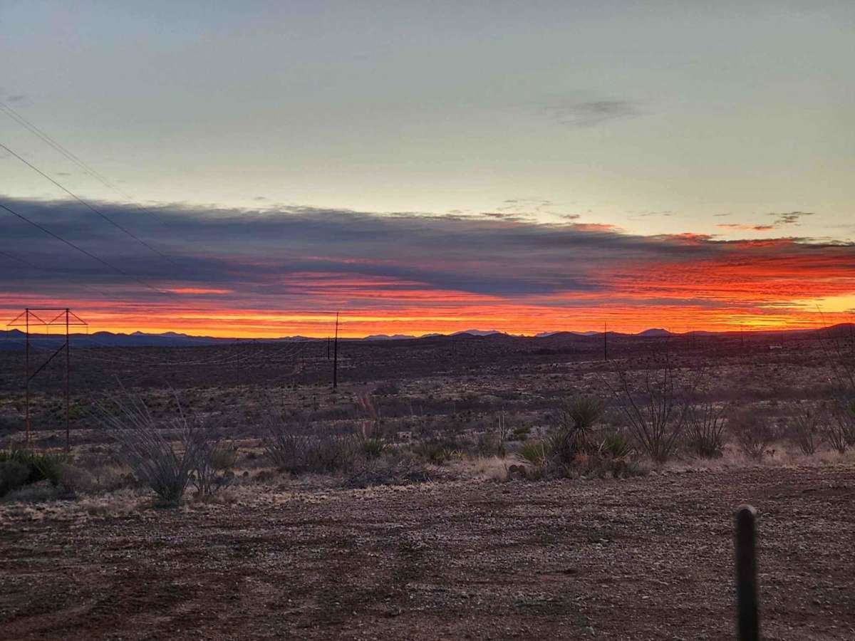 Powerline Road photo 4