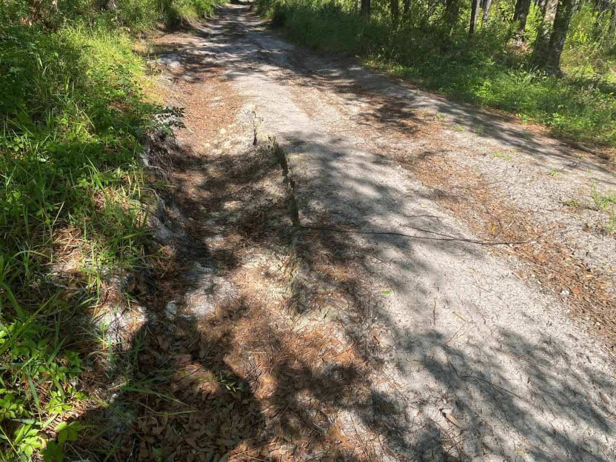 Blue Sink Road trail photo