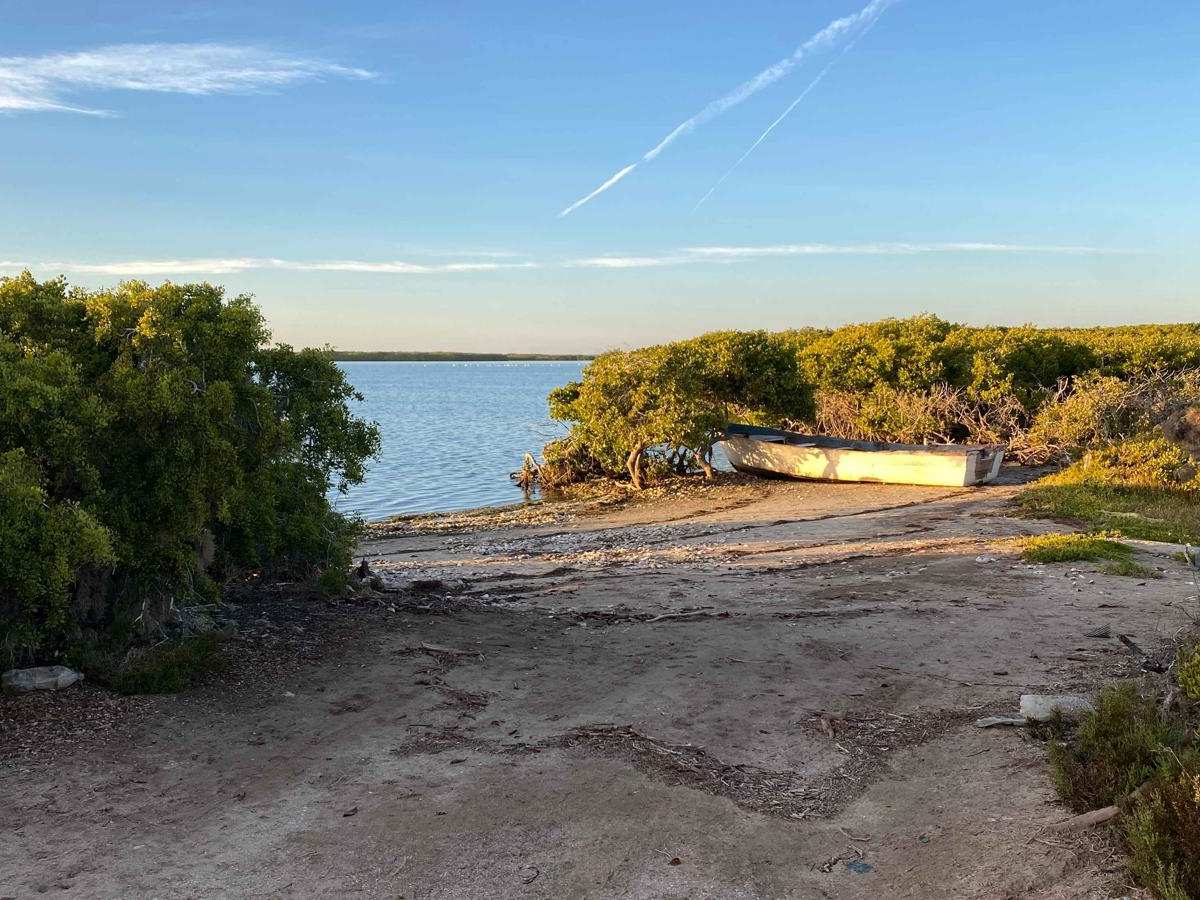 Estuary Crossover trail photo