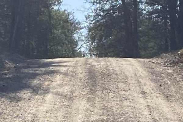 LP510/Shore To Shore Trail