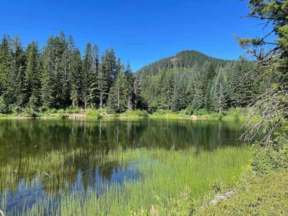 Lizard Lake/Longworth Cr. photo 2