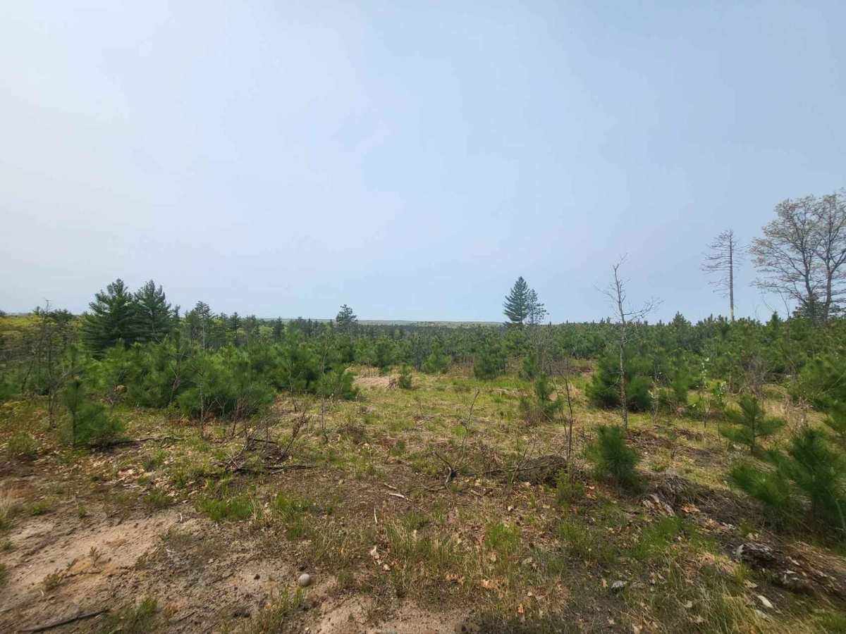 Ogemaw Hills ORV Route photo 3