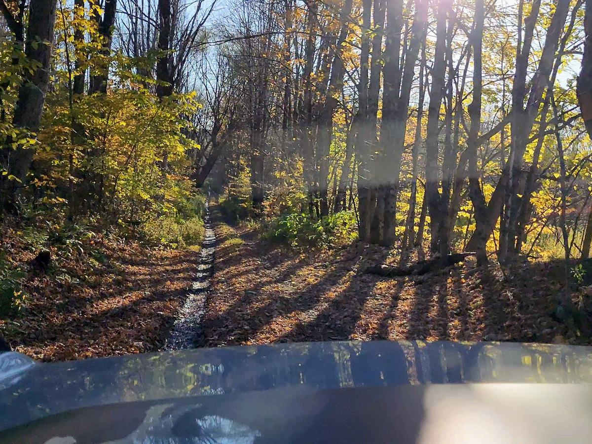 Hertz Road & Buck Hill Truck Trail photo 4