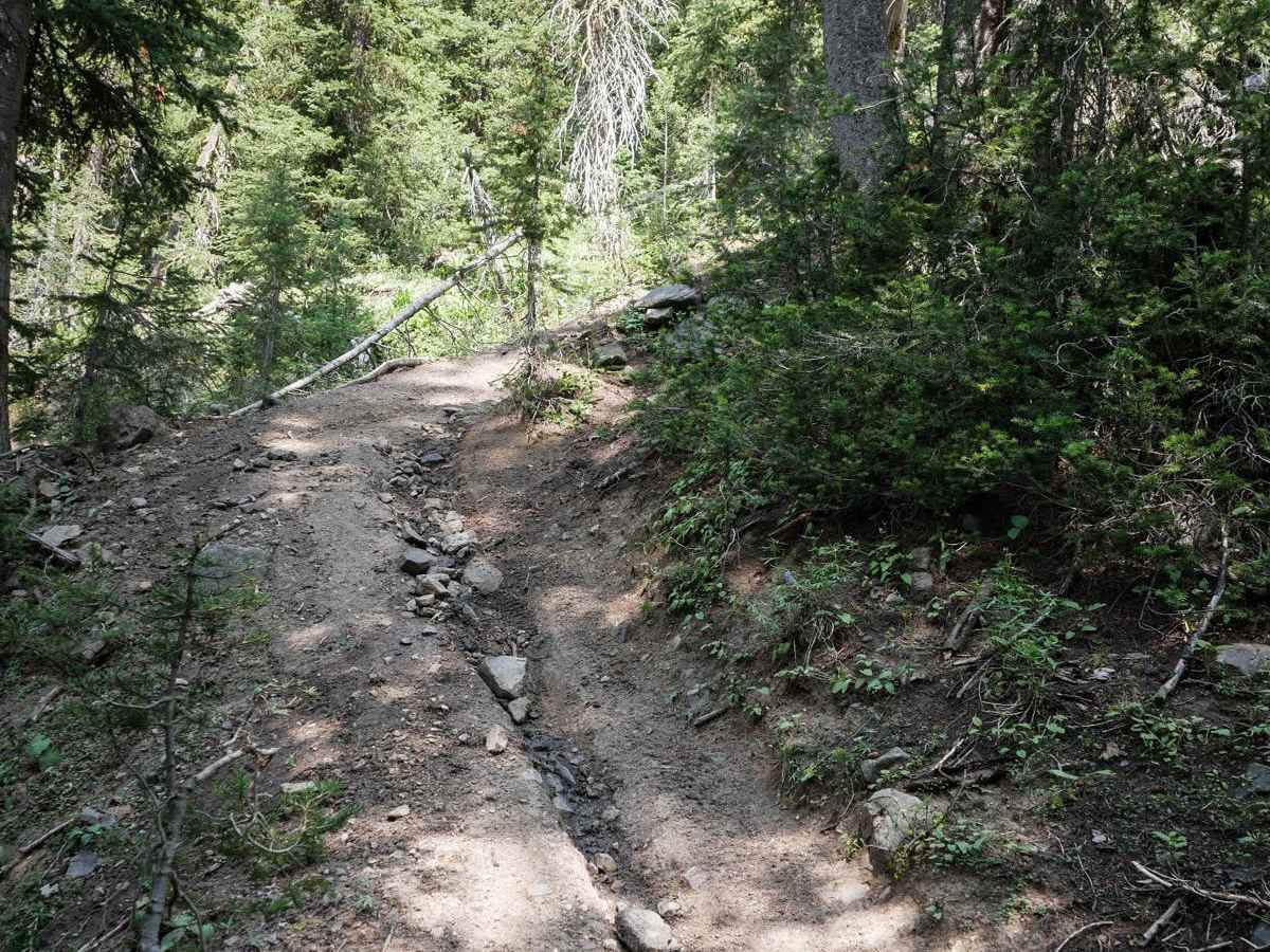 Five Mile Creek photo 6