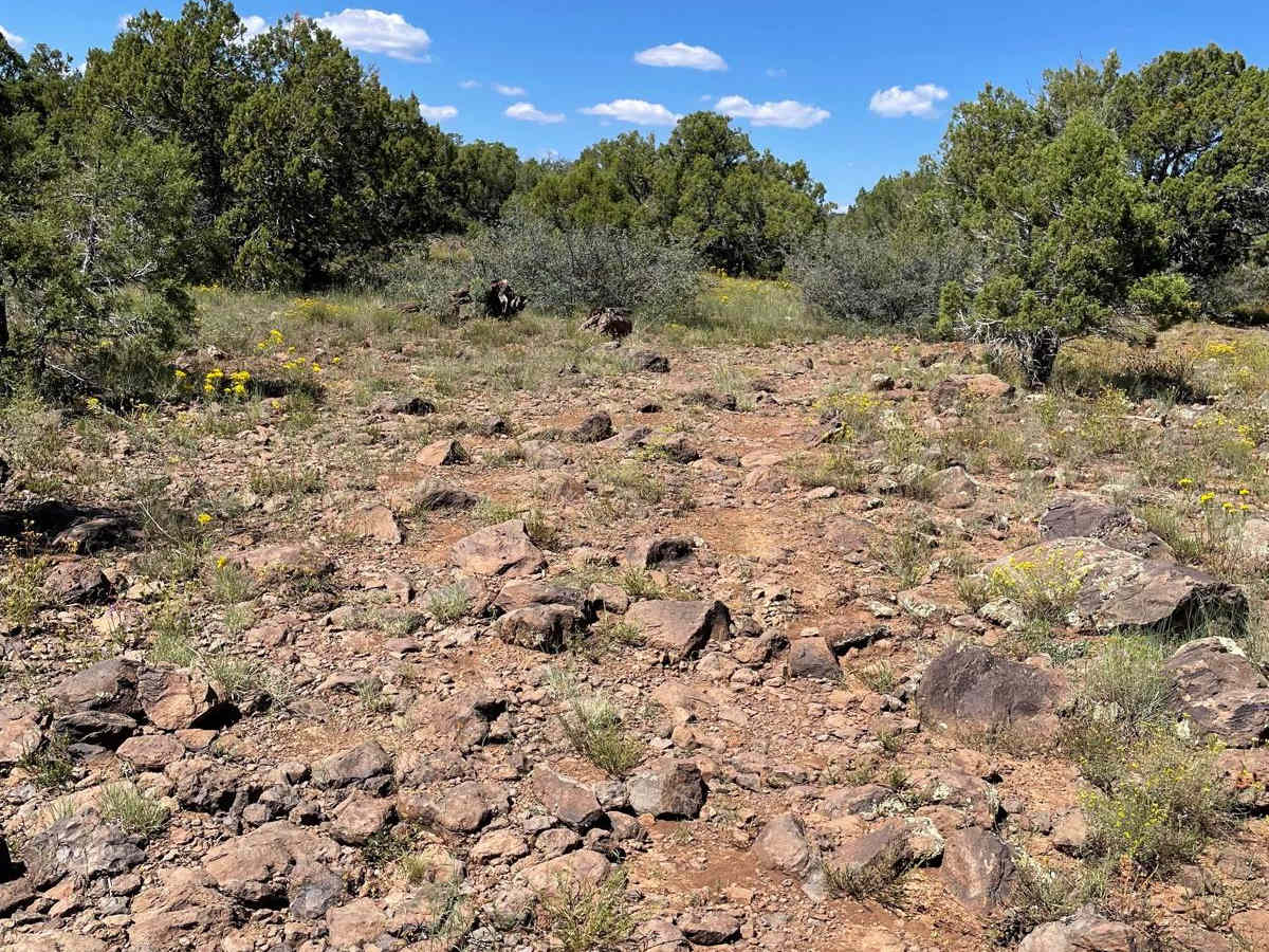 Rock Rodeo Hill photo 4