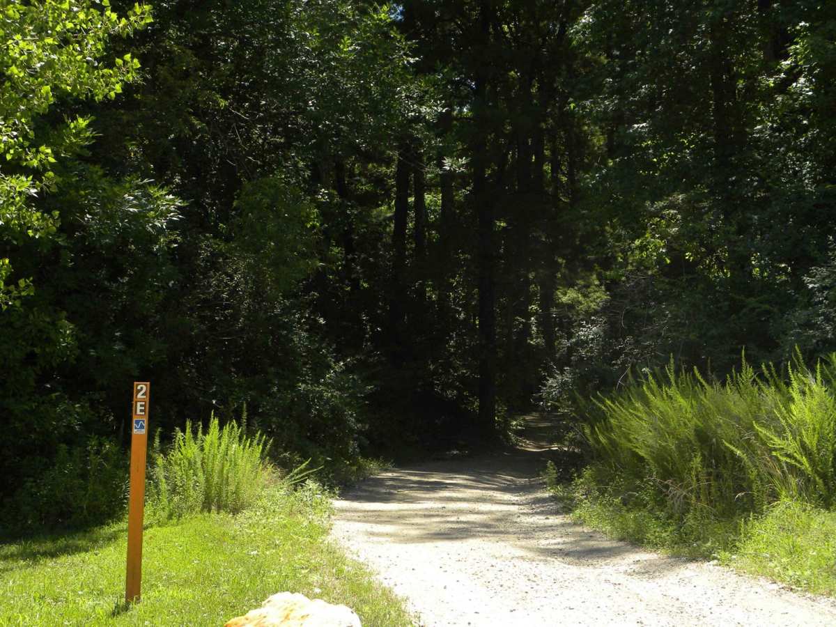 Trail 2E(intermediate) trail photo