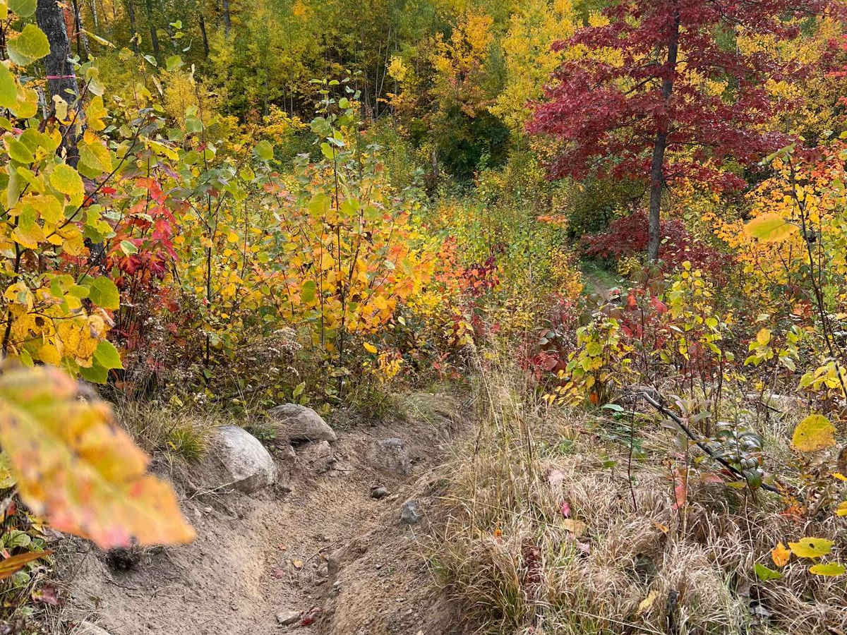 Paul Bunyan Handlebar Nail Biter trail photo