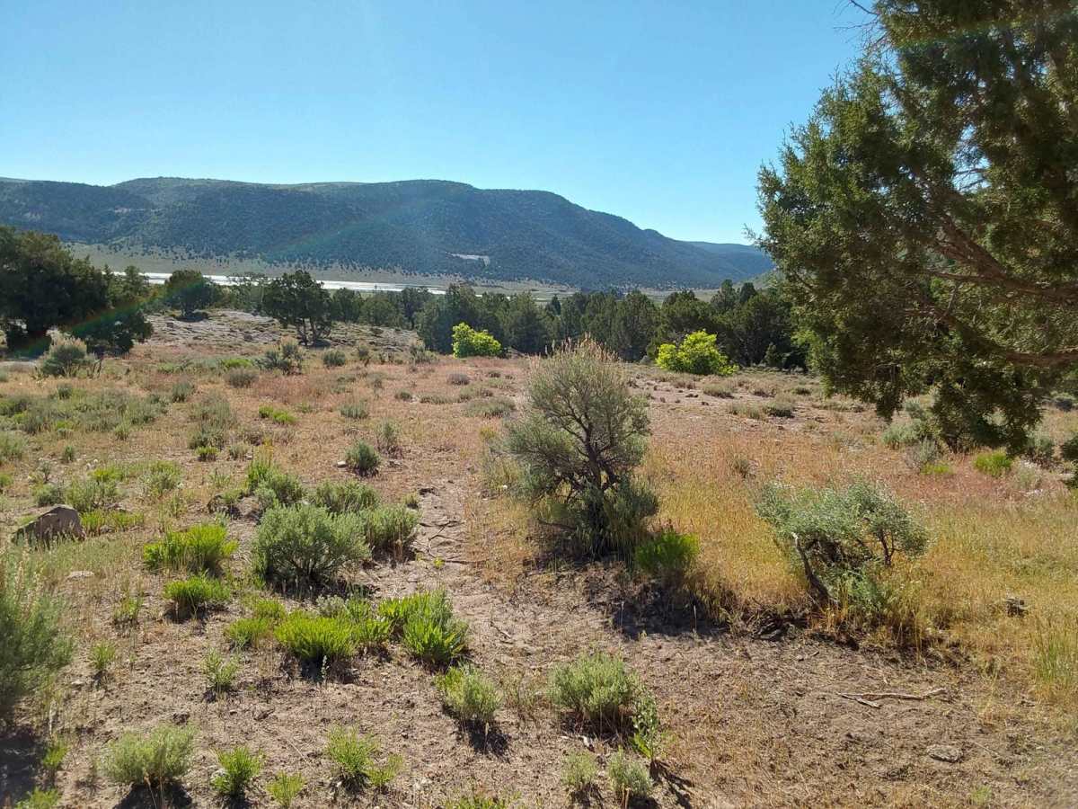 Paiute Trail #15 to Paiute Trail #6 photo 3