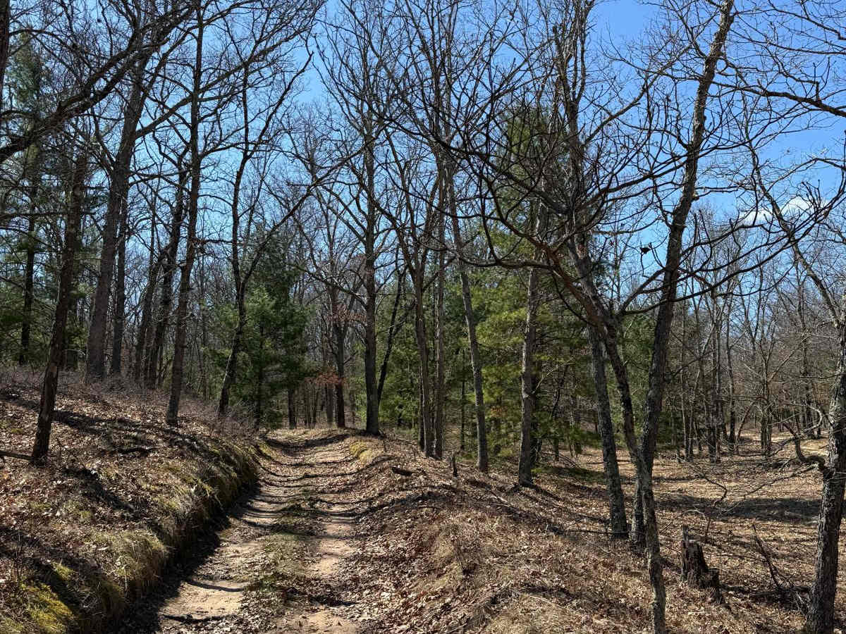 NFS 6274 trail photo