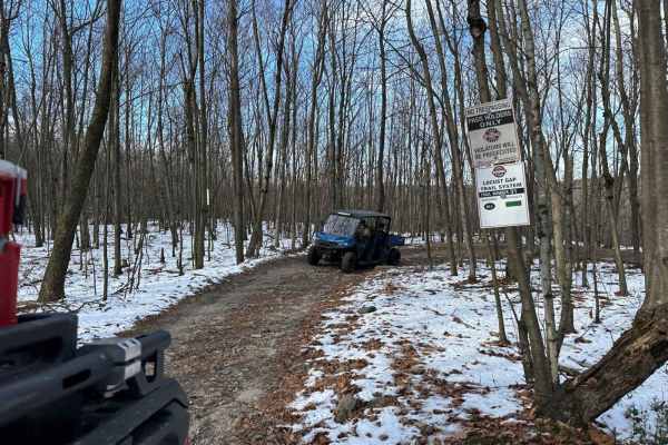 Locust Gap 31