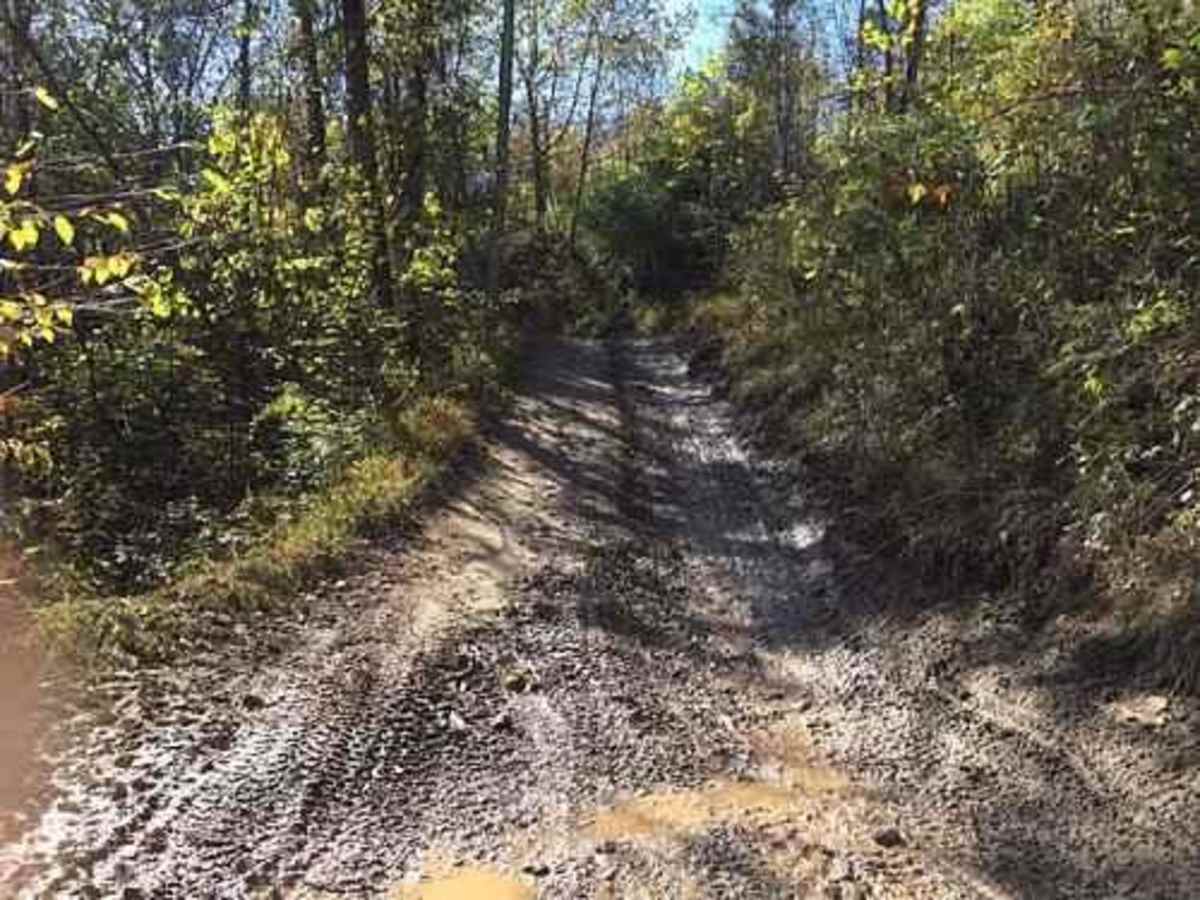 44/1 Bellwood Corporation Mine (Ford Knob Road) photo 4