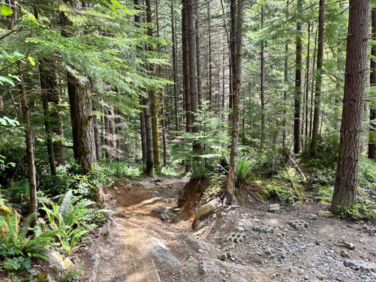 Ron's Run photo 3