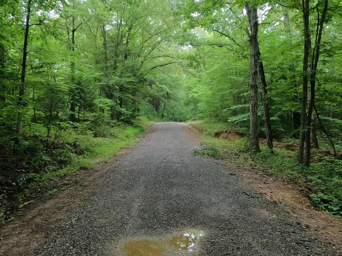 Gatlin Point North FSR 228 photo 3