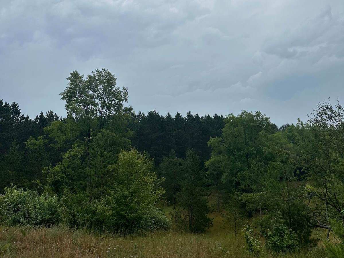 Fortine Loop photo 4