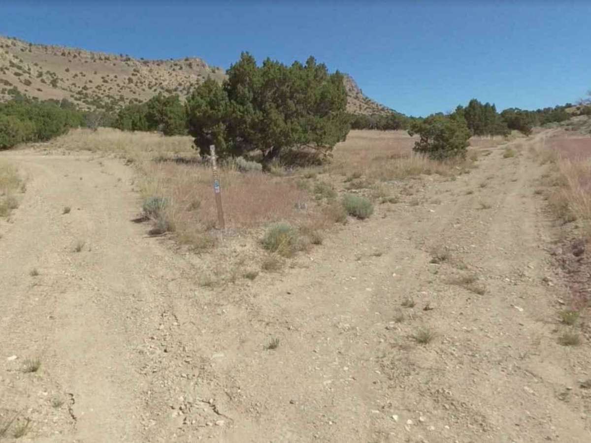 Conger Mountain OHV Route 6 photo 6
