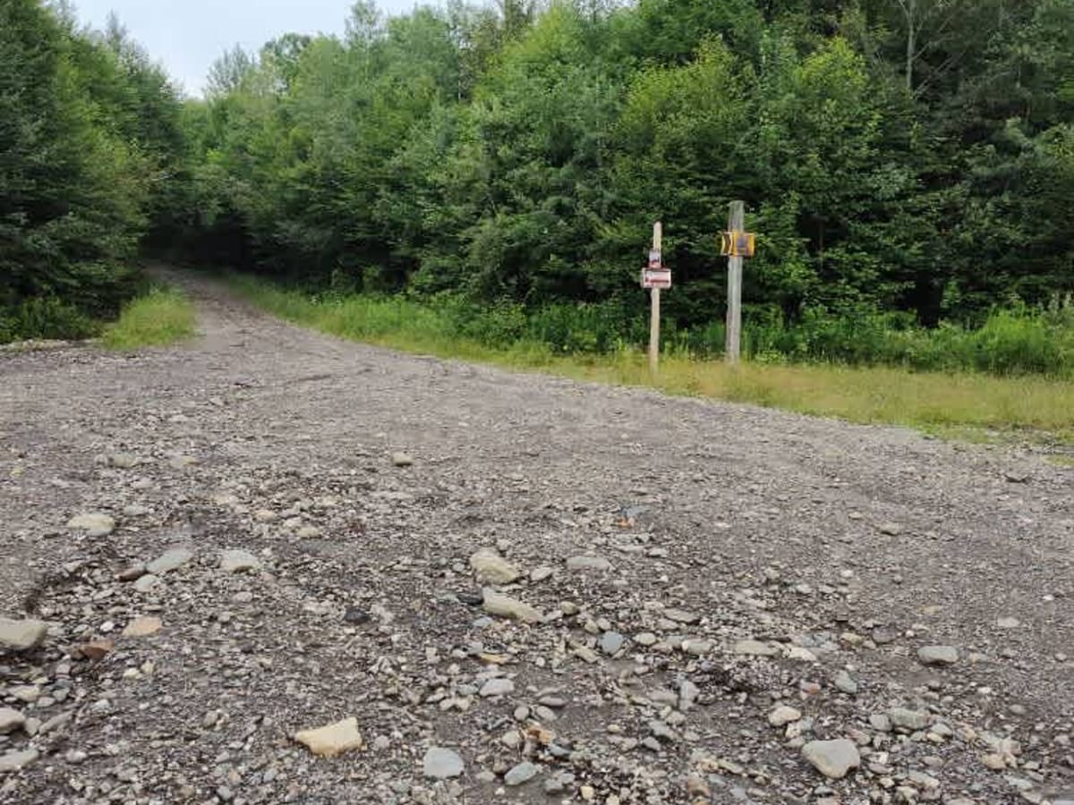 White Wolf Trail photo 3