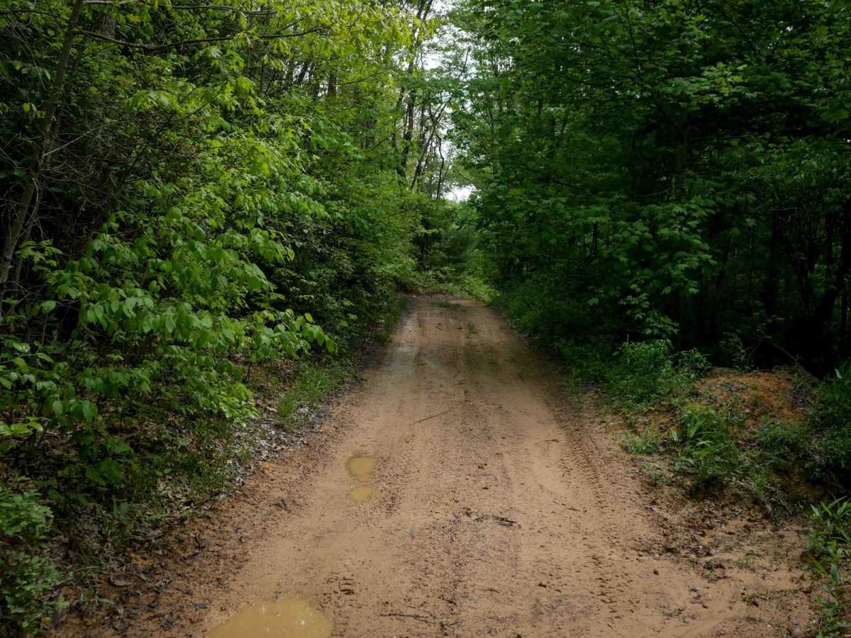 OP 21 trail photo