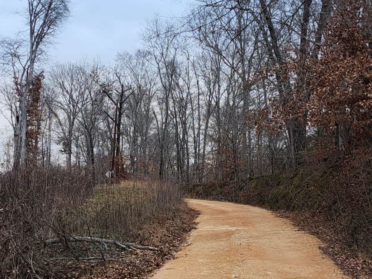Web Hollow Road photo 4