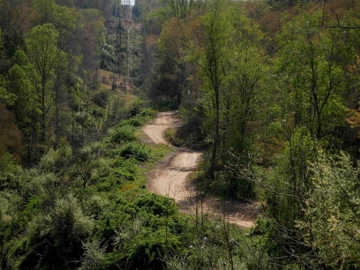 P19 trail photo