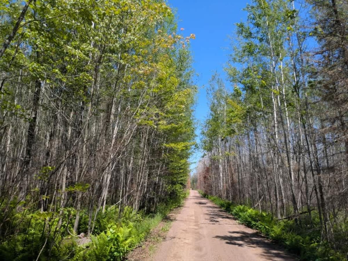 Salo Lake trail photo