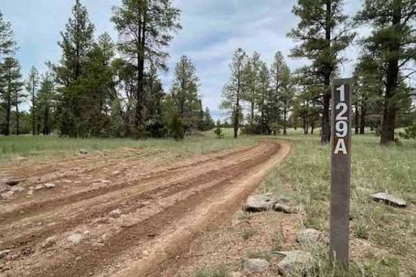 Hose Lake Trail 129A