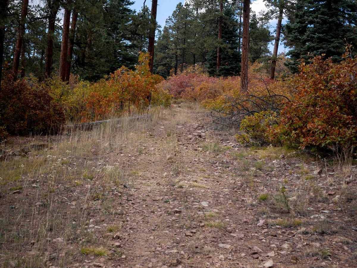 Mule Mountain Spur 1 photo 3