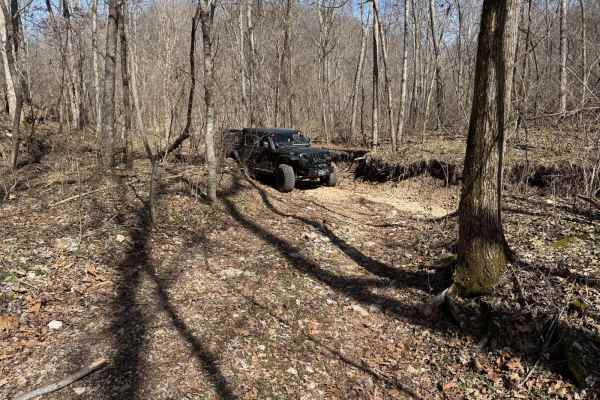 Morgans Creek 377