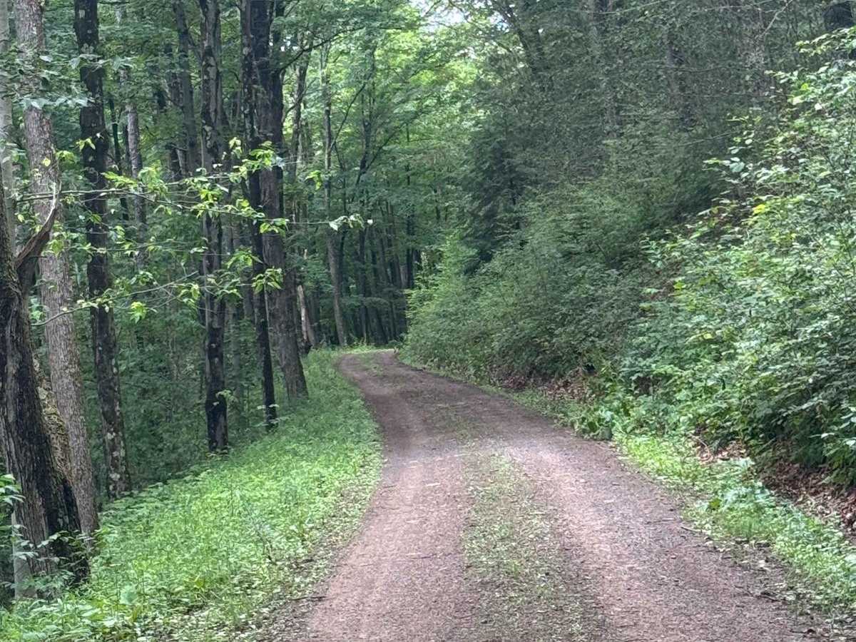 Robinson Road photo 4