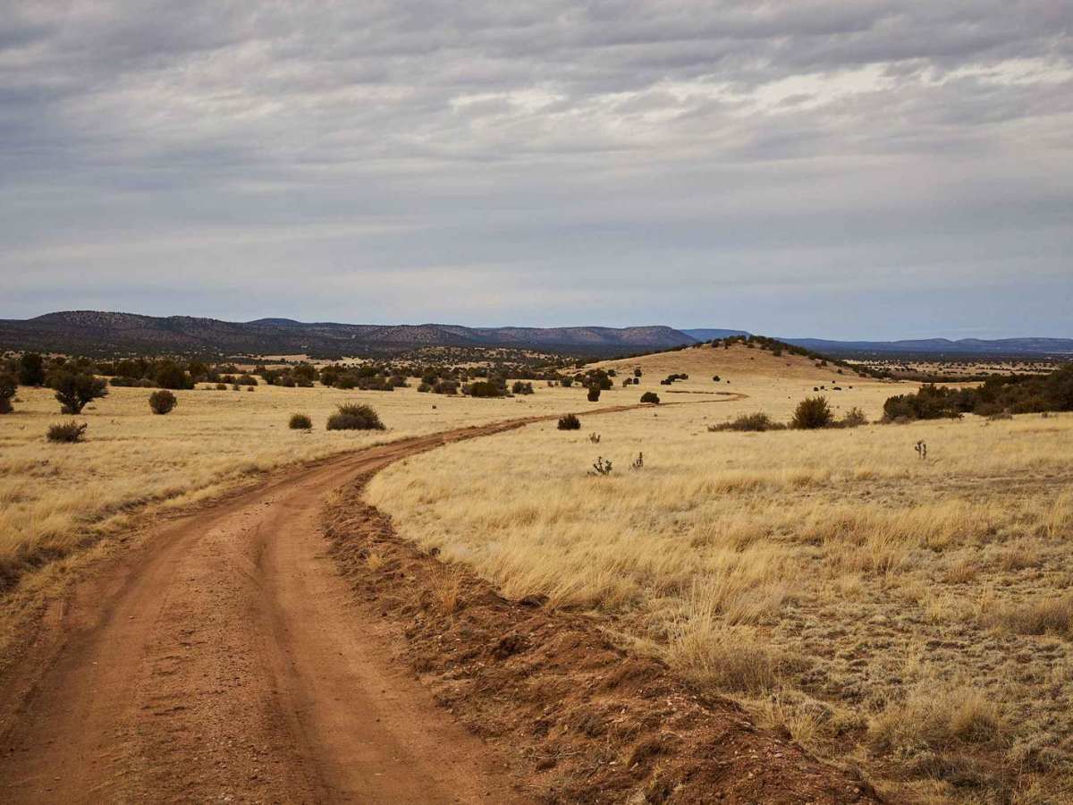 Grade Road Out photo 5