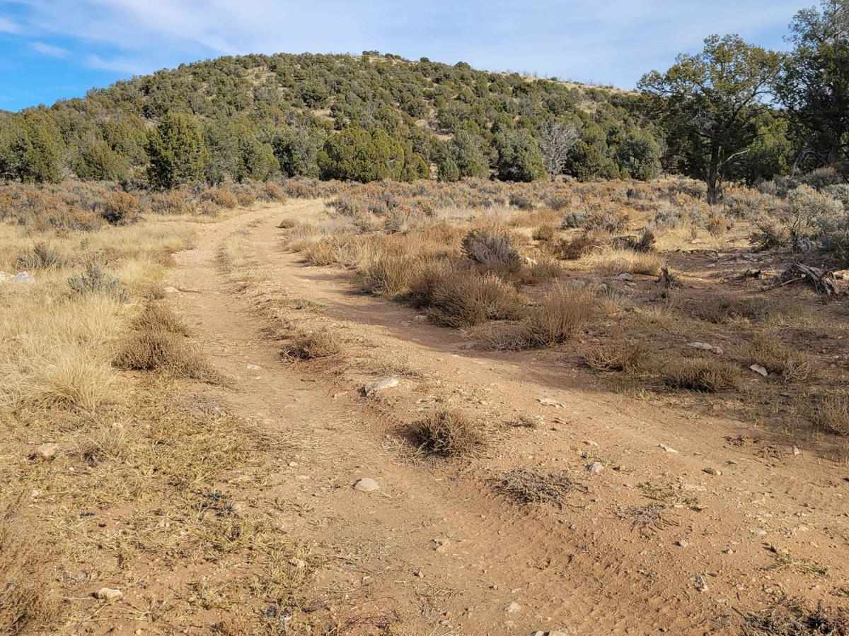 BLM Road 1620 photo 2