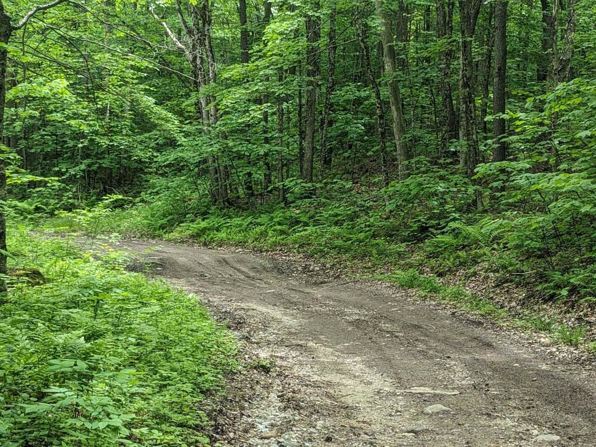 Adams Road photo 2