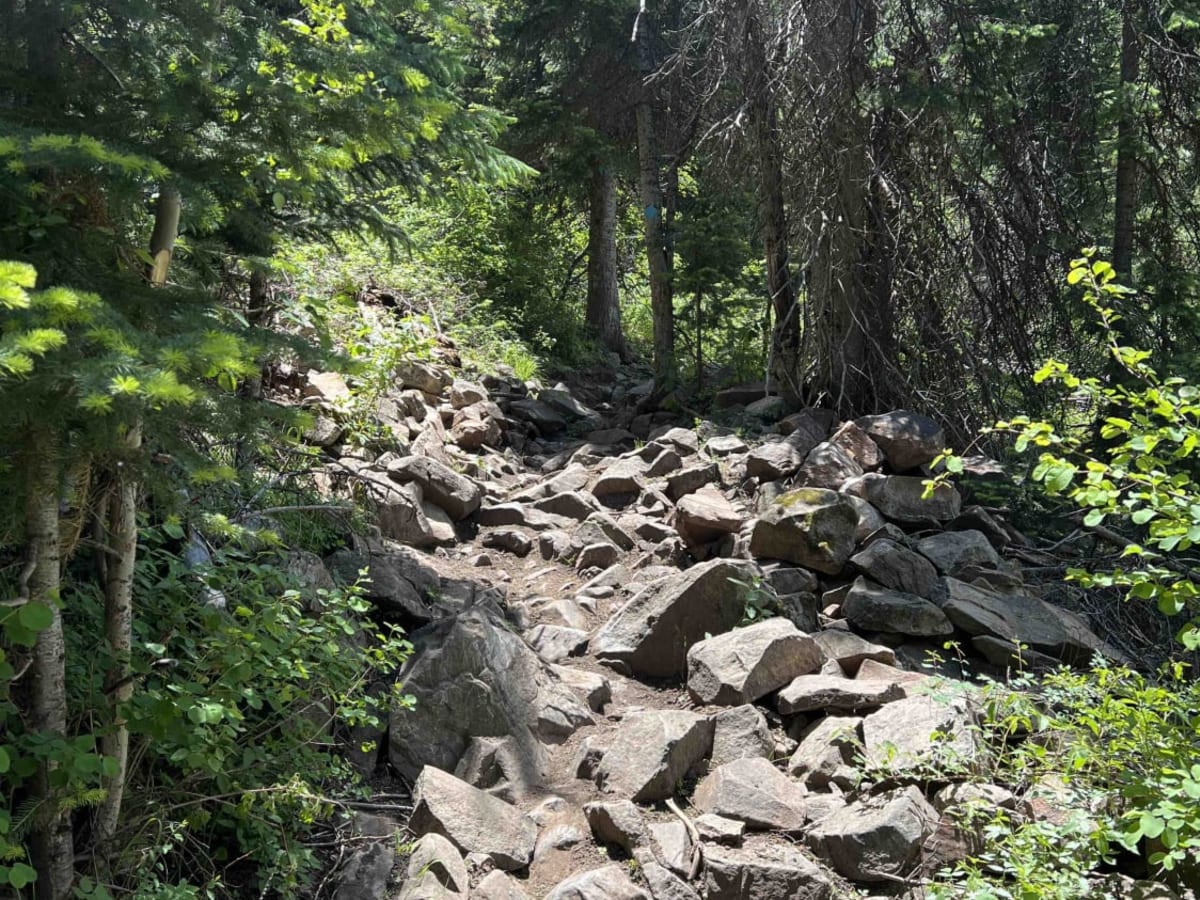 Little South Fork Trail photo 4