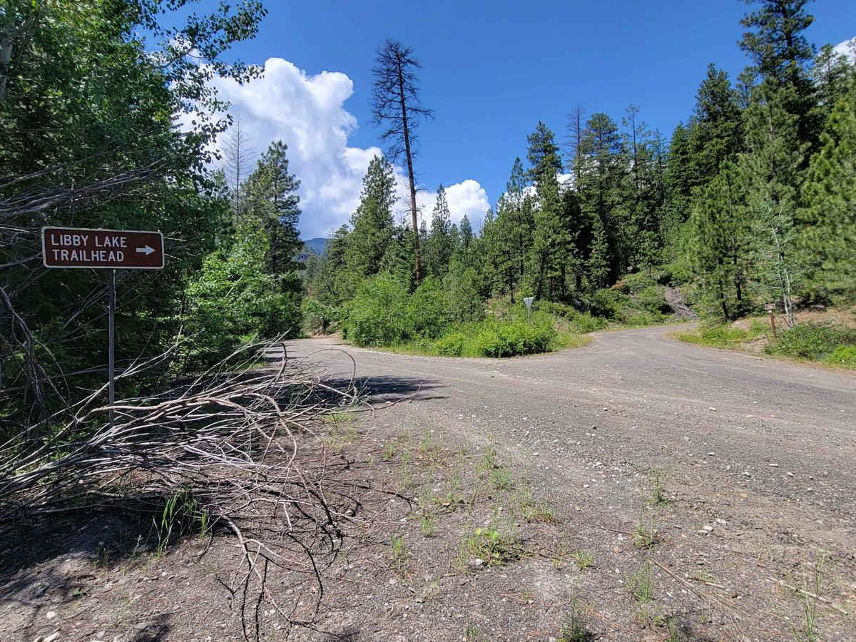 NF 700 - Libby Lake Trailhead trail photo