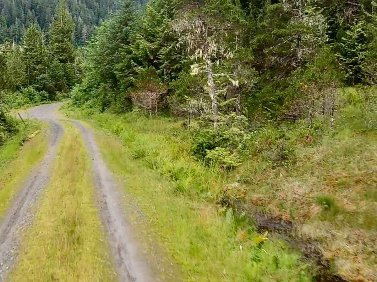Highbush - 50040 photo 4