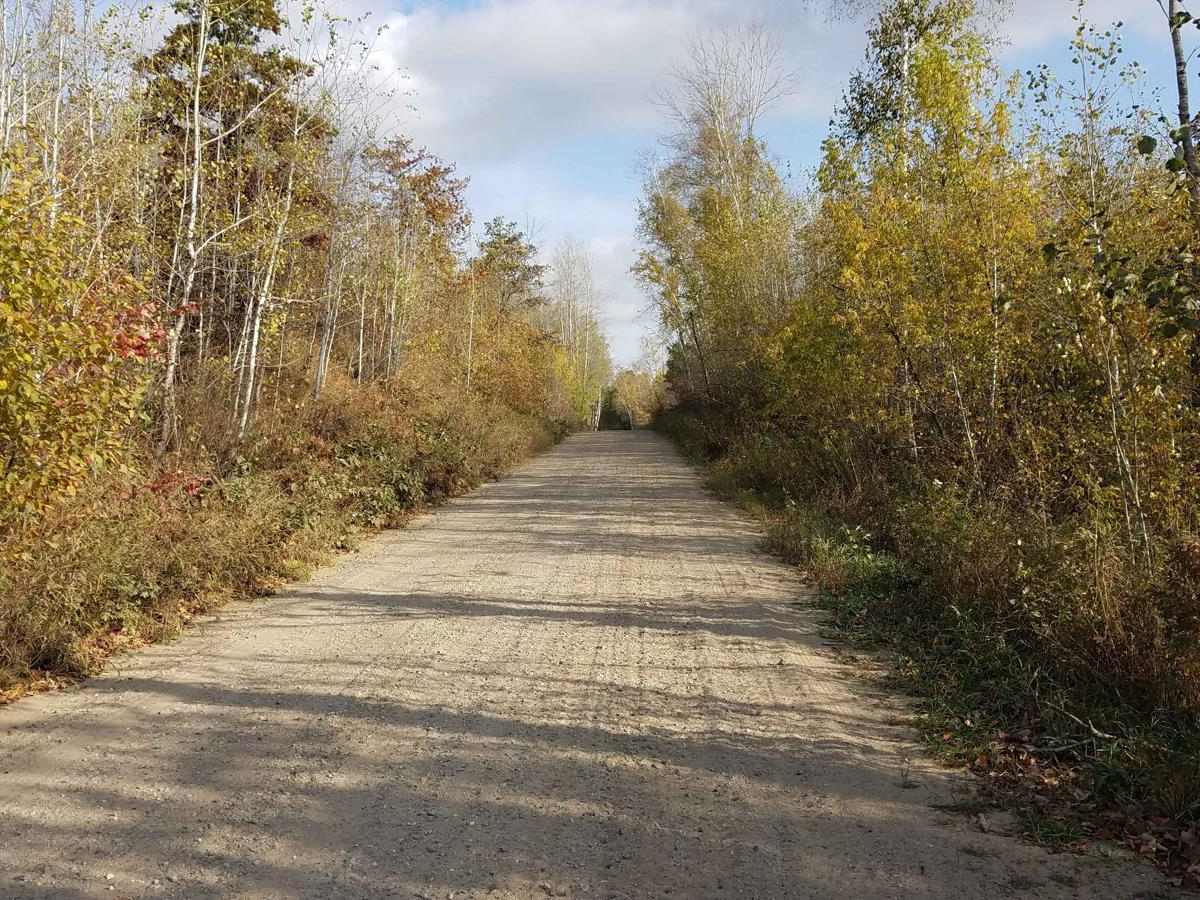 Inner Forest Road 4.6 photo 3