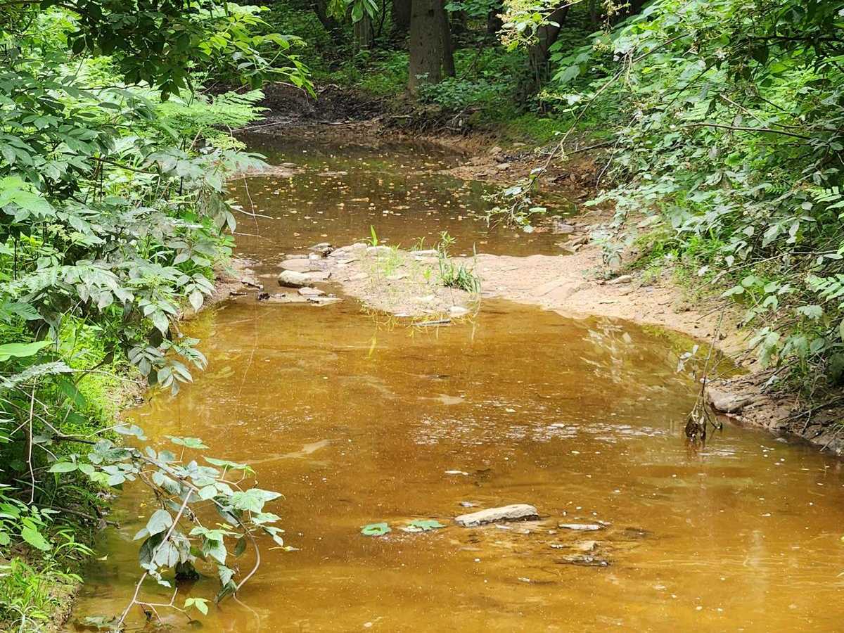 Trail 1A - Rock Run Recreation Area photo 2