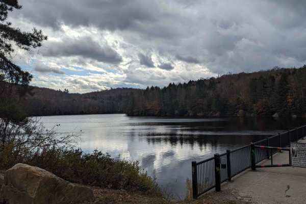 Whitney Place to New Lenox Road